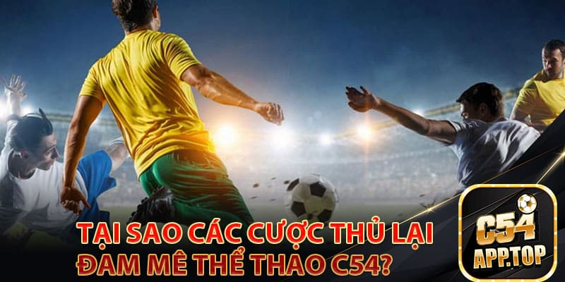 Tại sao các cược thủ lại đam mê thể thao C54?