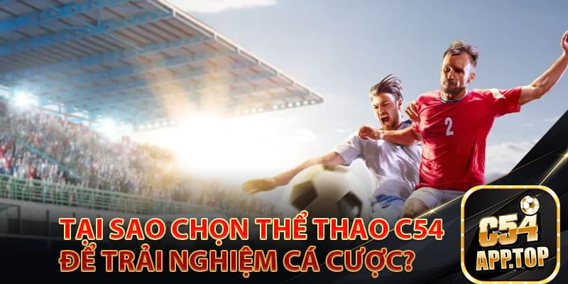 Tại sao chọn thể thao C54 để trải nghiệm cá cược?